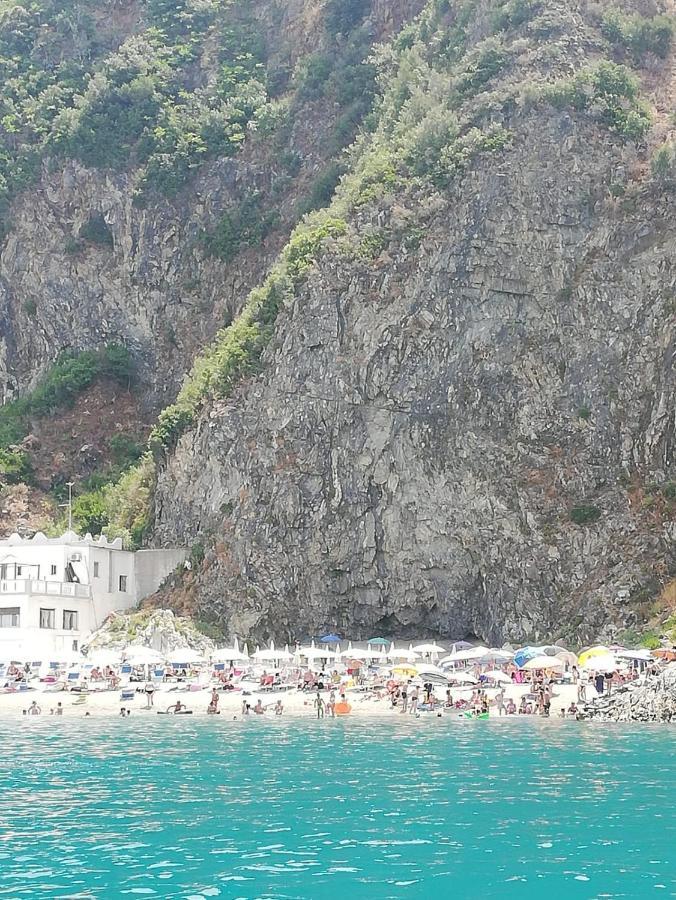 B&B Centrum Palmi Exterior photo